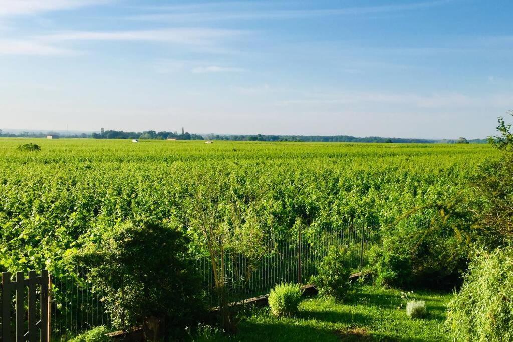 Appartement Avec Vue Sur Les Vignes A Gevrey מראה חיצוני תמונה